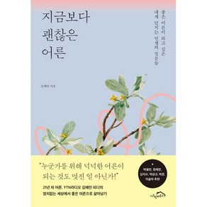 지금보다 괜찮은 어른:좋은 어른이 되고 싶은 내게 던지는 인생의 질문들