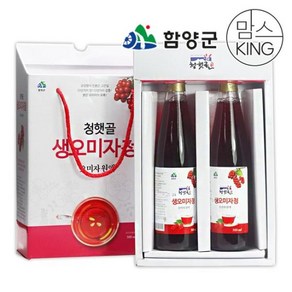 지리산 청햇골 생오미자청 500mlx2개 선물세트, 단일사이즈, 500ml, 2개