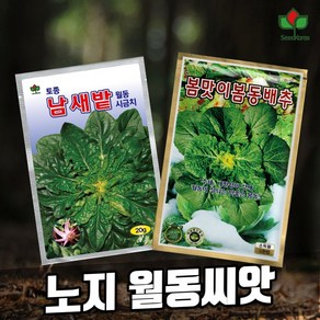 씨드코리아 월동 채소 씨앗 2종 세트 노지 봄동배추 섬초시금치씨앗 종자, 1개