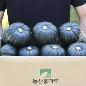 [산지직송] 제철 단호박 미니밤호박 보우짱 국내산 단호박 뉴질랜드 단호박, 1박스, 단호박 3kg