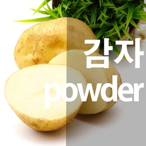 감자가루양우 분말, 100g, 1개, 1개입