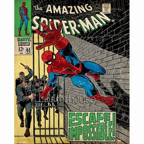 Mini Poste 40x50Cm 인테리어 포스터 - 스파이더 맨 Mavel Comics: Spide Man Escape-Impossible [Mini], 포스터만구매