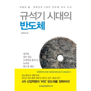 규석기 시대의 반도체:마법의 돌 대한민국 5천만 반도체 지식 도서