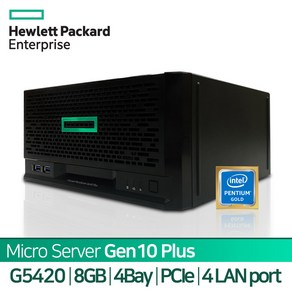 HPE Mico Seve Gen 10 Plus 펜티엄 G5420