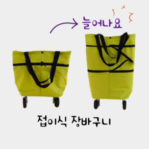 라라홈리빙 접이식 장바구니 휴대용 쇼핑카트, 그린, 1개