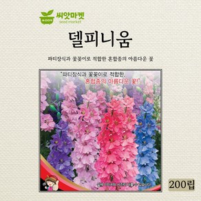 세계종묘 델피니움 씨앗 200립, 1개