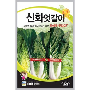 엇갈이 배추 씨앗 20g / 신화엇갈이 배추 씨앗 종자 텃밭키우기 채소키우기, 1개