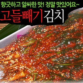 여수 돌산갓영농조합법인 고들빼기 김치, 1kg, 1박스