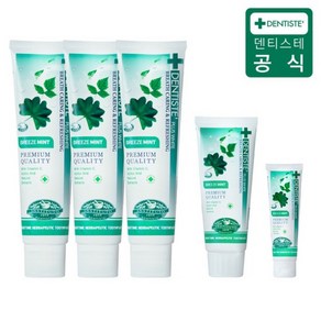 덴티스테 플러스화이트 브리즈민트 치약 5종 160gX3 60gX1 20gX1, 4세트, 160g