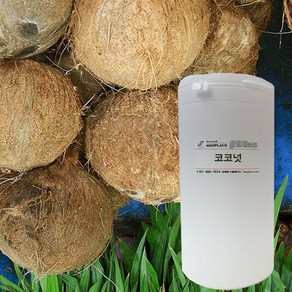 수플레이스 코코넛 1L 5L, 1개