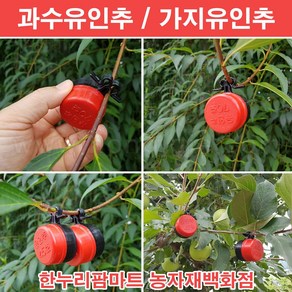 한누리팜마트/과수유인추 45g/사과나무유인추/가지유인추