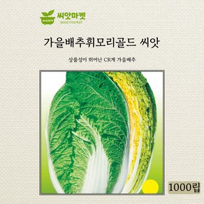 아시아종묘 휘모리 배추 가을 씨앗 1000립, 1개