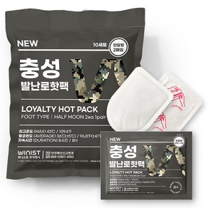 충성 NEW 발난로핫팩 20g x 2p, 10개