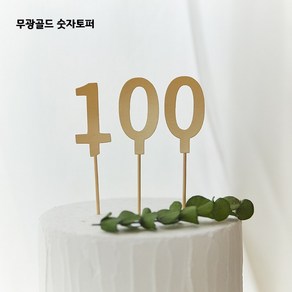 숫자 토퍼 마카롱 기념일 생일 케이크 미니 파티 데코픽, 9, 무광블랙