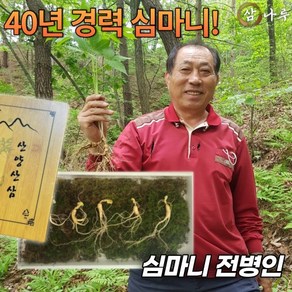 40년경력 심마니 전병인의 삼나루 산양산삼 산양삼 8년근 10뿌리 세트 부모님 명절선물, 1개