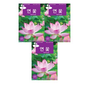 모두다 꽃씨앗 연꽃씨앗(10립), 3개