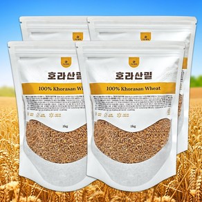 다온헬씨 고대통곡물 햇 호라산밀, 4개, 1kg