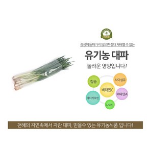 국내산 친환경대파 300g 한단 유기농 흙대파, 1개