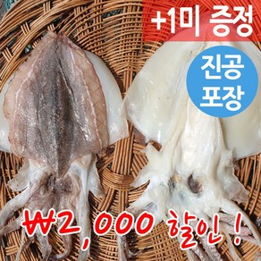 청정 반건조 갑오징어 25-40cm 군산 직송, 중, 1개