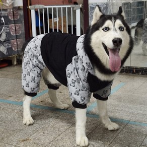 쪼꼬마미 강아지옷 대형견옷 기모안감 겨울 큰개 후드 애완 운동복 올인원