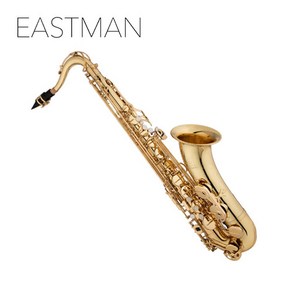 이스트만 Bb 테너색소폰 ETS650 전문가용 전공자 고급 마우스피스 EASTMAN, 1개