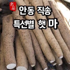 [특선별] 햇마 국산 안동 장마 생 마, 1개, 장마 [중품] 3kg