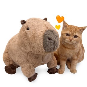 스토리원 말랑 카피바라 인형 애니멀 봉제 동물인형 35cm ST-TOY-005, 1개