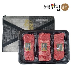 농협안심한우 1등급 선물세트 1kg 등심 안심 채끝 구이세트, 1개