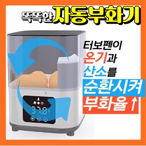 높은부화율 산소공급 병아리부화기 스마트 자동 안전 360도 전란, 1개, 화이트 6구