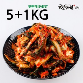 매일 담가 보내는 국산 전라도 얼갈이 배추 김치 5KG+1KG, 6kg, 1박스