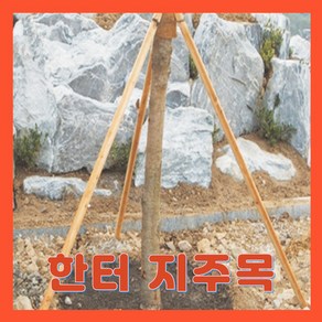 한터 삼발이 조경 나무지주목 1조 (3개가 1조) 40 x 1.2 m, 1개