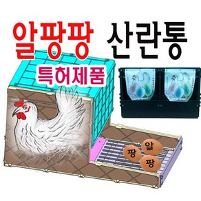 특허 품 알 팡팡 5 구 플라스틱 알 품고 먹는 닭과 완전 분리 깨끗한 알 수 거 특별한 닭 산란 통 산란 장 알 낳는 통