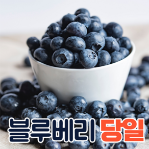 특등품 미국산 칠레산 생 블루베리 생과 3팩 6팩 12팩, 1세트, 생 블루베리6팩