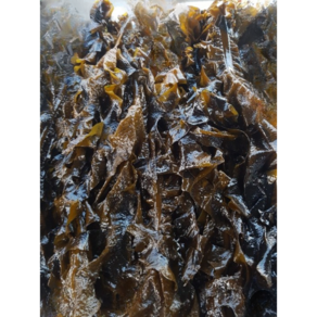 욕지도 100%자연산 돌미역500g 산모용 명품미역 자연해풍과 햇빛에 말린, 500g 1개