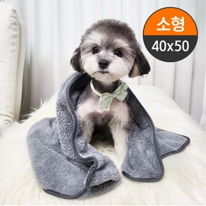 초극세사 펫타올 목욕 강아지 수건 고양이 타월 40x50, 블루, 1개