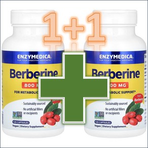 Enzymedica 엔자이메디카 베르베린 Berberine 800MG / 해외직구 미국정품