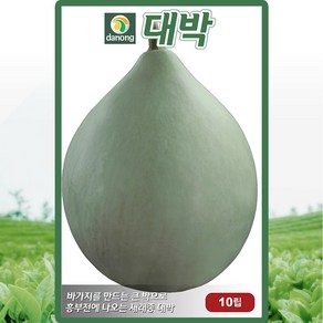 다농 대박 씨앗 10p, 1개