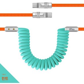 델메이트 엑스트라 c2c 실리콘 스프링 고속 케이블 240W 핸드폰 초고속 충전용, 1개, 민트, 2m