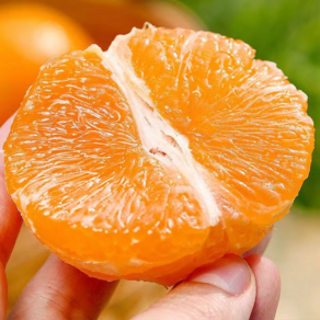 [가성비 끝판왕!] 꿀Bix 제주 못난이카라향, 1개, 2.5kg (혼합)