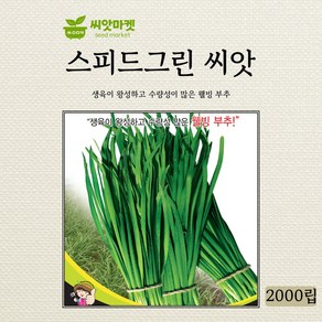 세계종묘 스피드그린 부추 씨앗 2000립, 1개