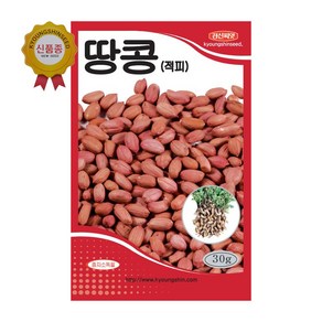 경신종묘 콩씨앗 땅콩(적피) 30g