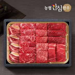 기타 [농협안심한우] 1등급 한우 모듬채반 1kg(등심+채끝+특수부위+불고기+국거리), 1개