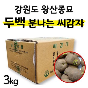 (2월14일 출고) 왕산종묘 두백 씨감자(3kg) 쪄먹는 분감자 찐감자 강원도 햇감자 정품 씨감자, 1개, 3kg