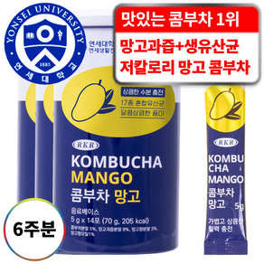 연세생활건강 RKR 진짜 맛있는 17종 유산균 혼합 콤부차 망고, 5g, 14개입, 3개