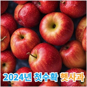 껍찔째 먹는 천연과즙 팡팡 안동 청송 가정용 꿀사과