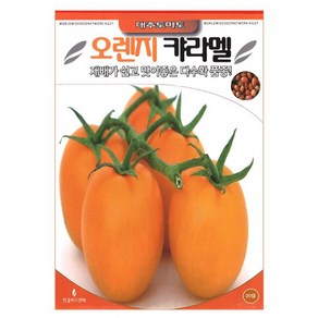 오렌지 대추토마토씨앗 방울토마토씨 20립, 1개