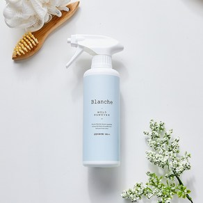 모던하우스 [모던하우스 인천점] Blanche 곰팡이제거제 300ML CL1423011, 1개