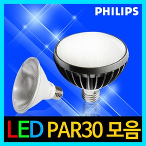 PAR30 LED볼전구 에디슨전구 PAR38 LED전구 레일조명