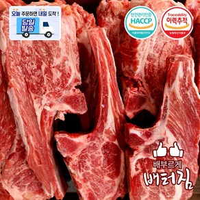 (당일출돼지) 캠핑가자! 숙성 (냉장) 양갈비 뼈 숄더랙1kg 양고기 양꼬치 양갈비살 프렌치랙, 1개, 냉장 양뼈숄더랙1kg +쯔란 허브솔트