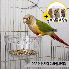 2GR 튼튼사각 아크릴 모이통 급식기 앵무새 At254, 상세 설명 참조, 1개